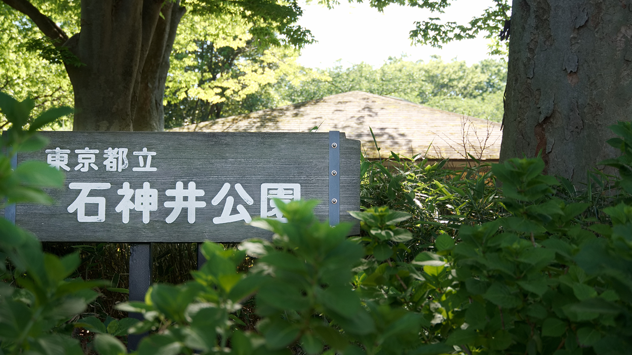 練馬区の観光スポット 石神井公園